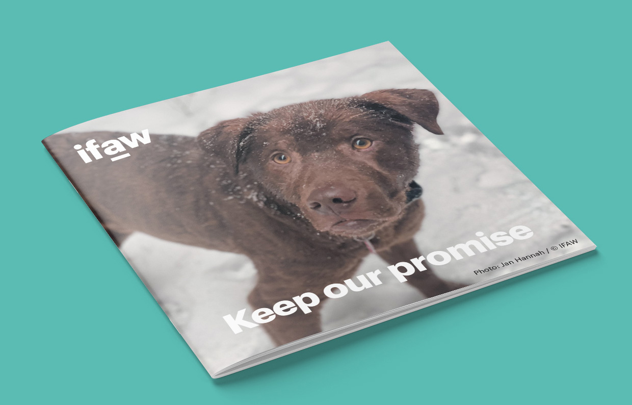 IFAW Leaflet